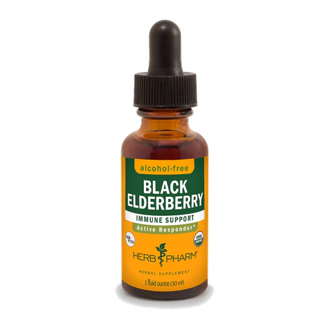 Herb Pharm - Black Elderberry Glycerite - 1 oz