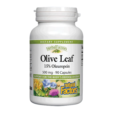 Natural Factors - Olive Leaf 500 mg 15% Oleuropein - 90 Veg Capsules