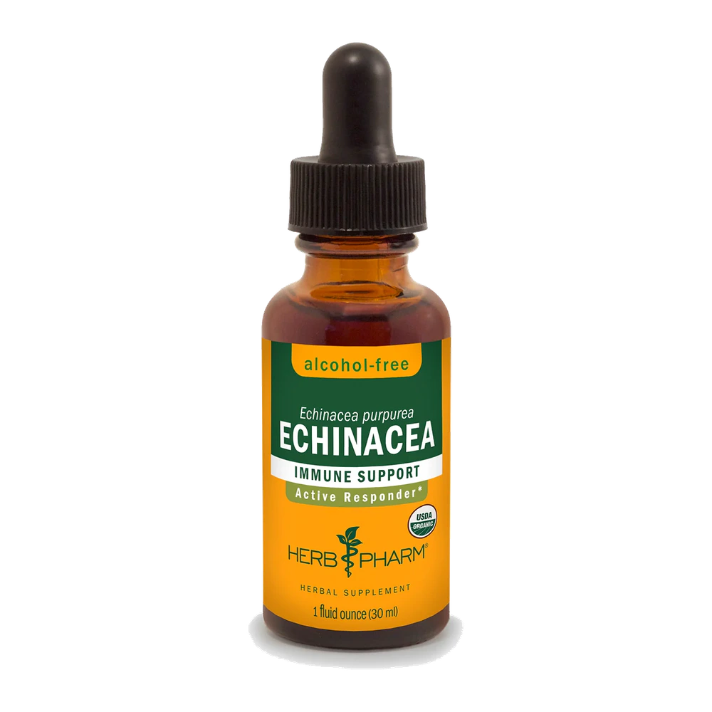 Herb Pharm - Echinacea Immune Support Alcohol Free - 1 oz